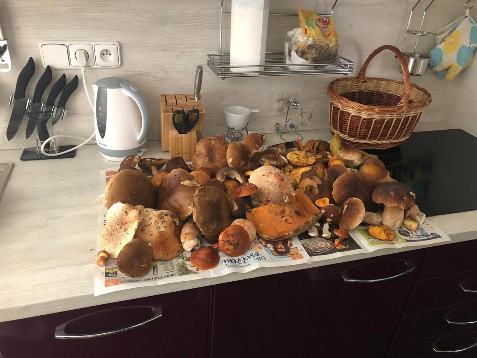 Apartmány Borůvka Česká Kamenice Esterno foto